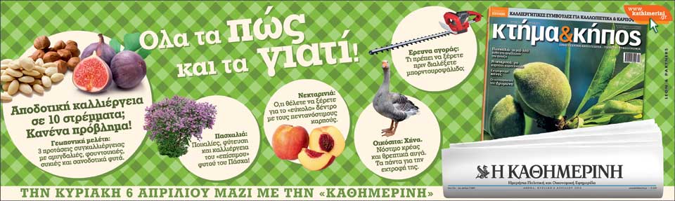 kk_t14_ktx_334x100_tk