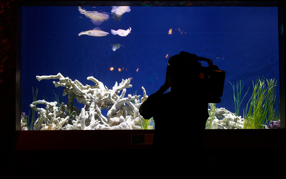 a-videograph