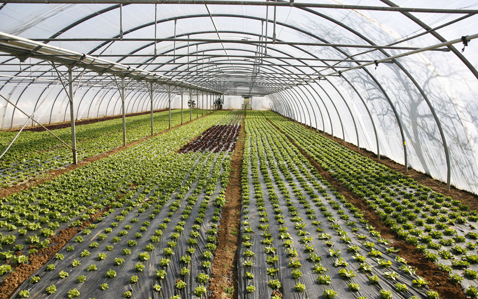 newego_large_t_1101_54181245