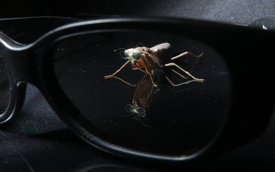 10150524_732870423432545_3291081958637008725_n