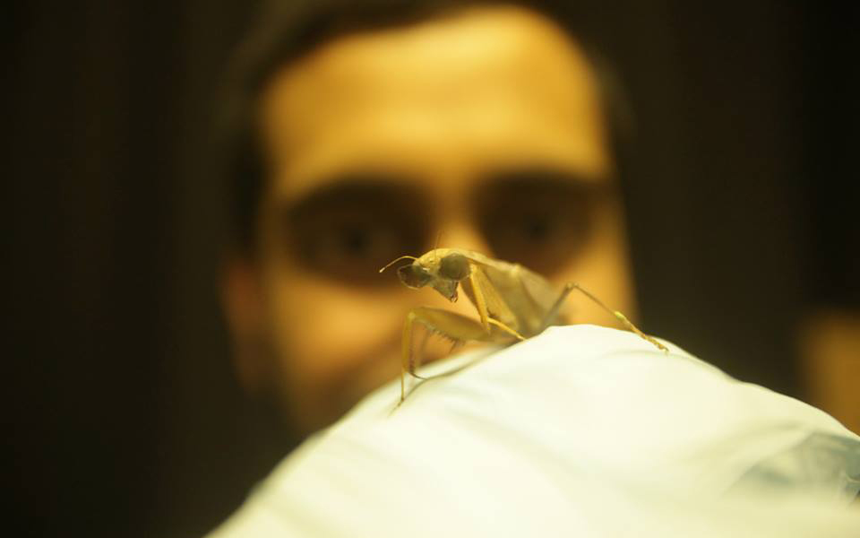 10176035_732870440099210_5658750238461173399_n