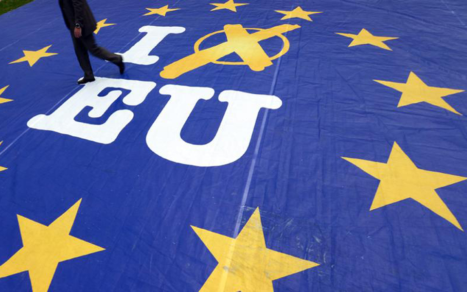 euelection--thumb-large2