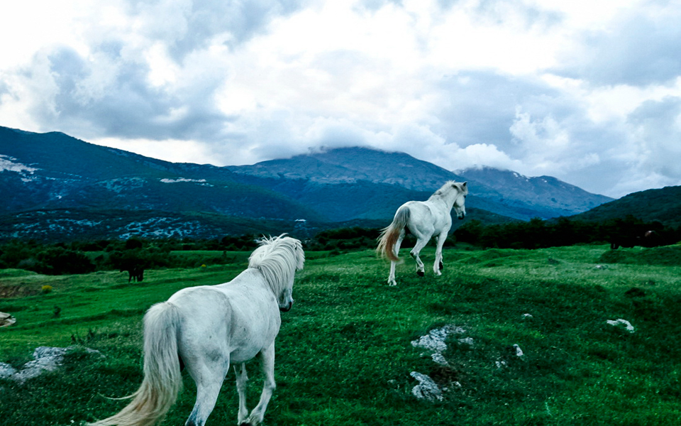 grammatikakis-george1