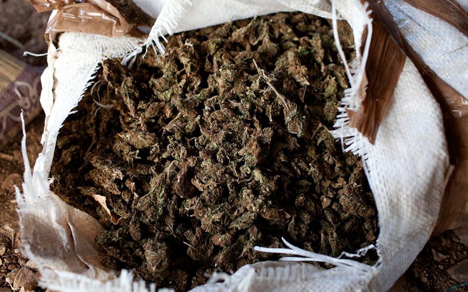 Μέσα στον χασισοβολώνα της Ευρώπης-13