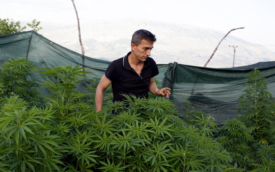 Μέσα στον χασισοβολώνα της Ευρώπης-5