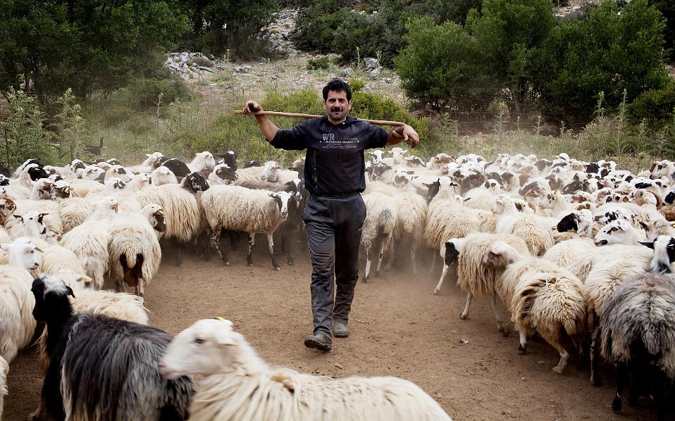 Οι συμφιλιωτές της βεντέτας στην Κρήτη-5