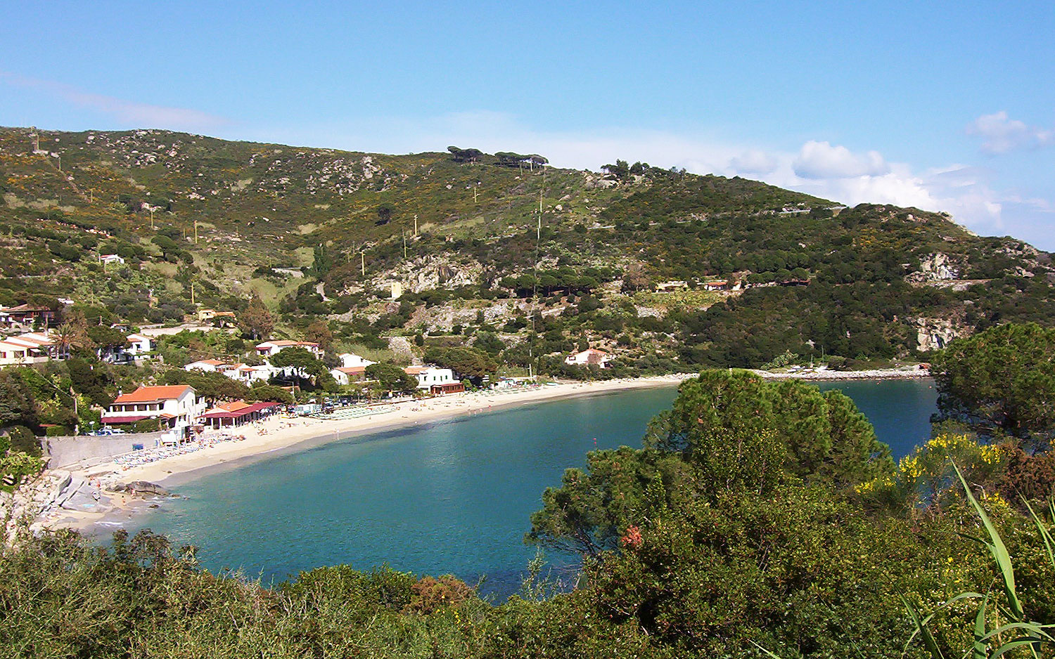 elba-cavoli