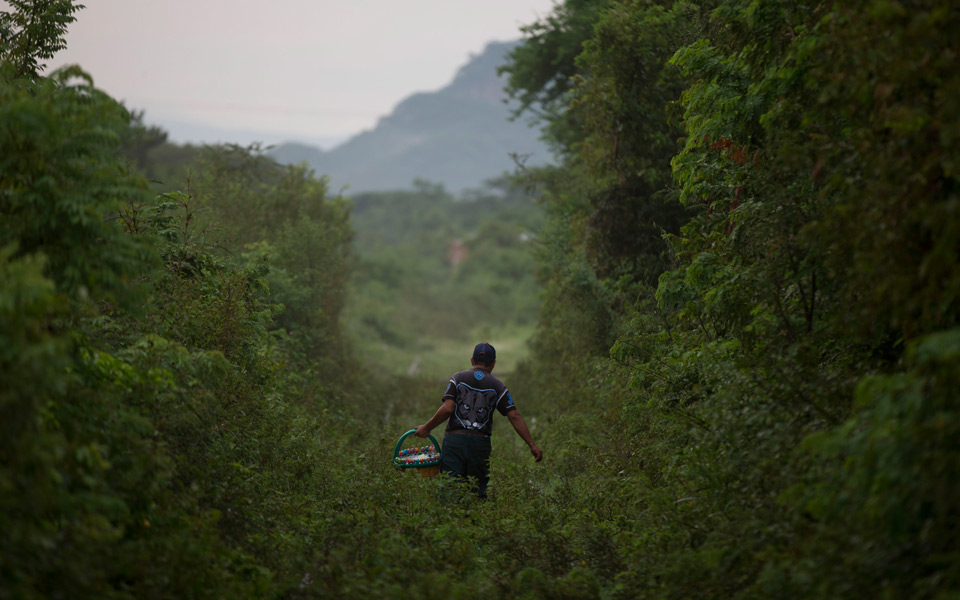 490874mexico-chi08-29-14