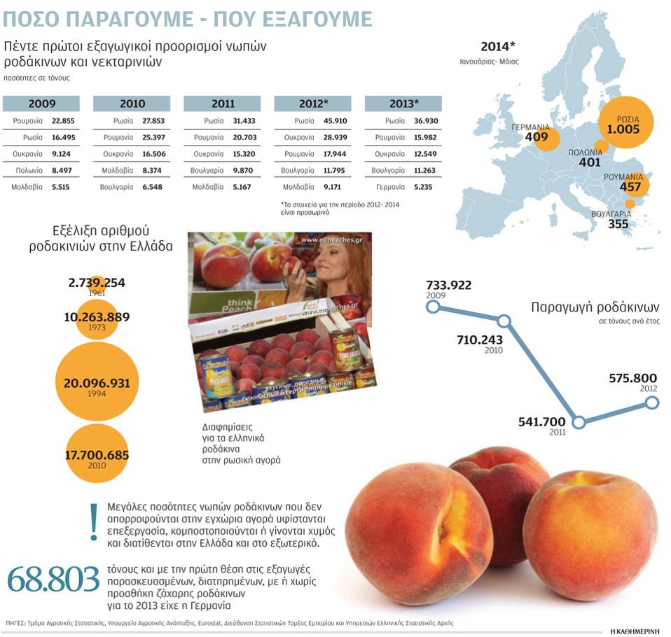 Το μακρύ ταξίδι των ελληνικών ροδάκινων στη Ρωσία-2