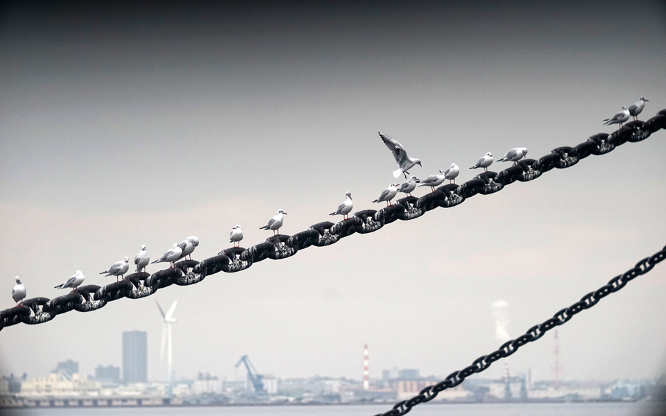 1750808japan-dail11-17-14