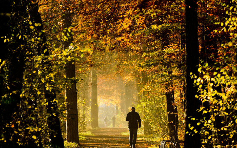 1751814germany-we11-17-14