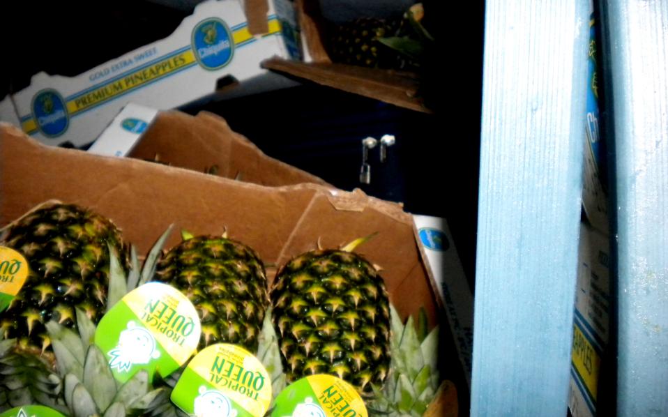 Η μυστική έρευνα για το καρτέλ κοκαΐνης-1