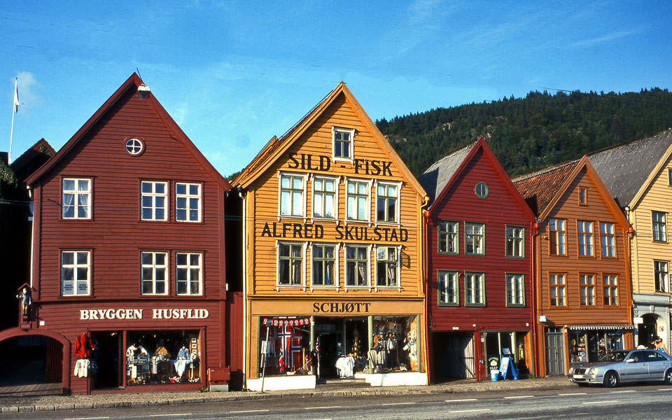 bergen31