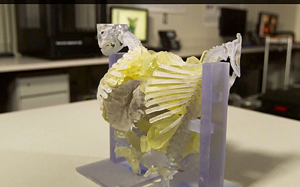 screen-shot-2015-03-04-