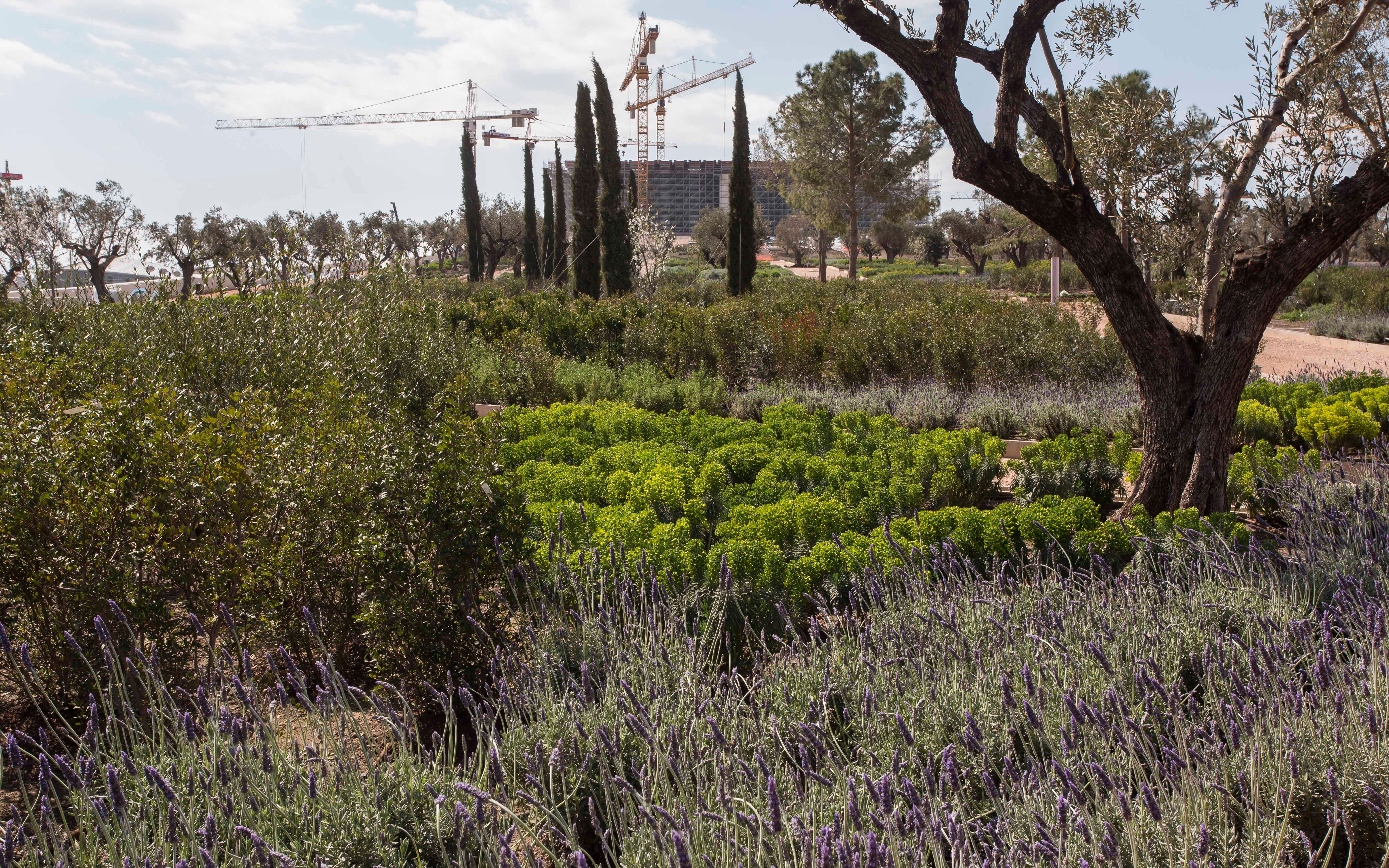 alex-filippidis_mg_2145-copy