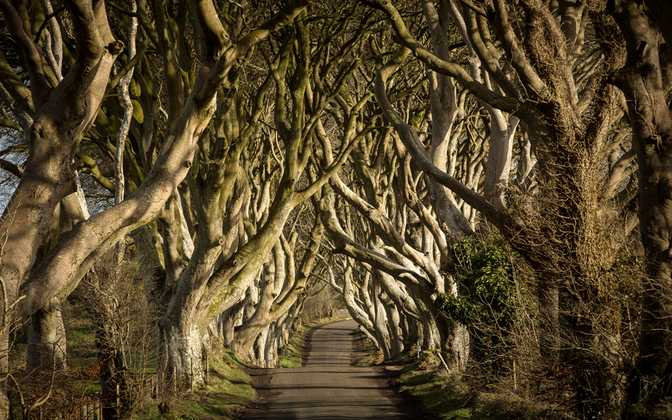 gofthrones0