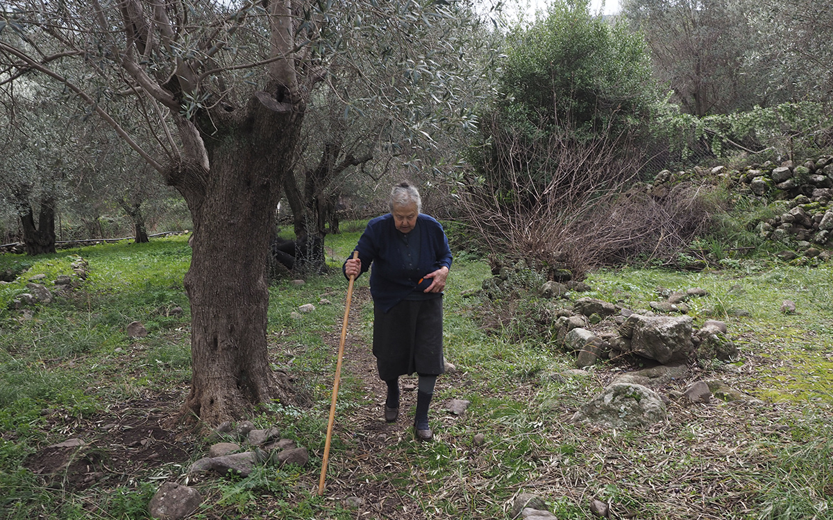 «Ξέρουμε από προσφυγιά, τους πονάμε»-1