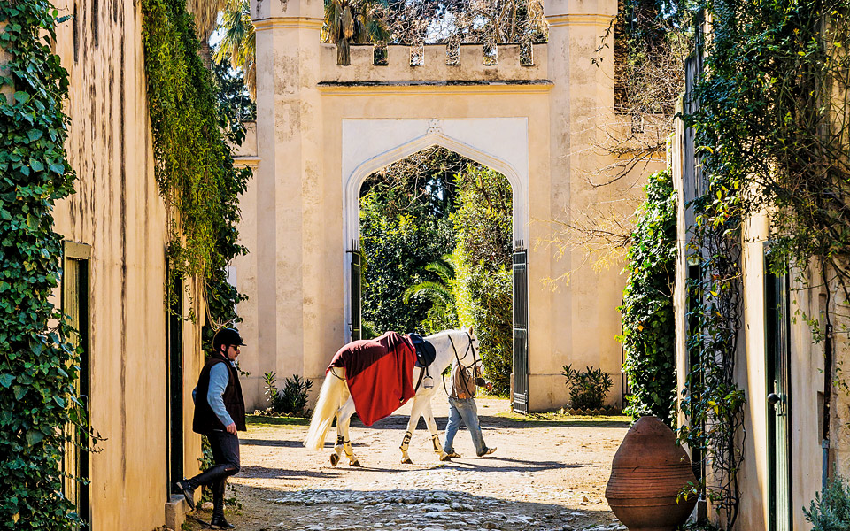 kouris_20160221_gr_6089