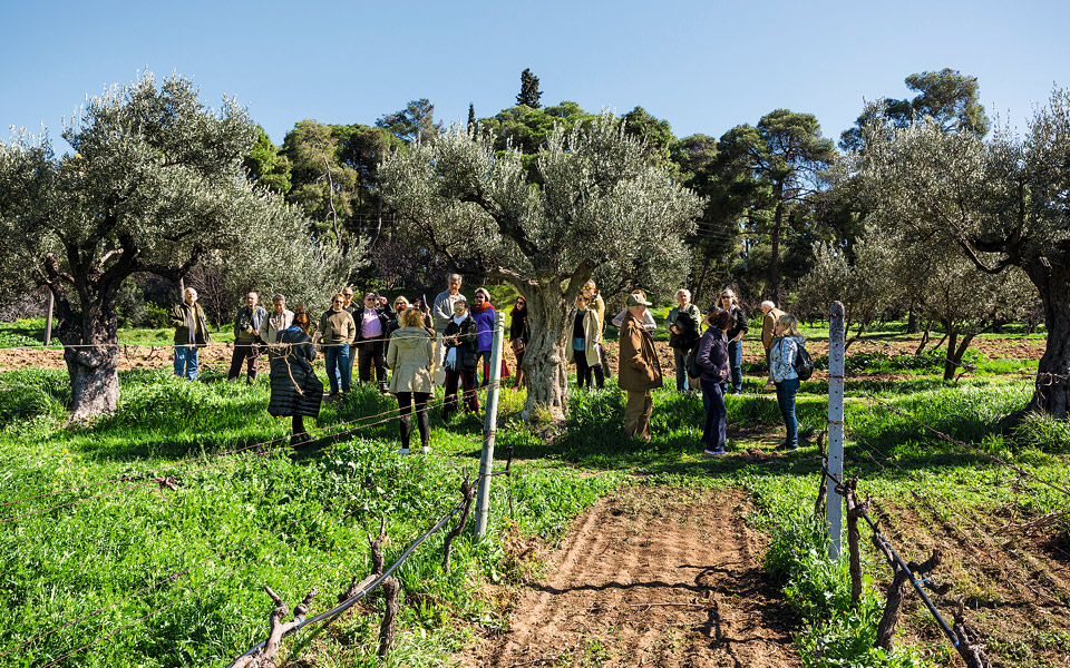 kouris_20160221_gr_6639