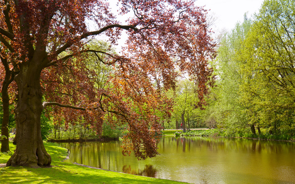 vondelpark
