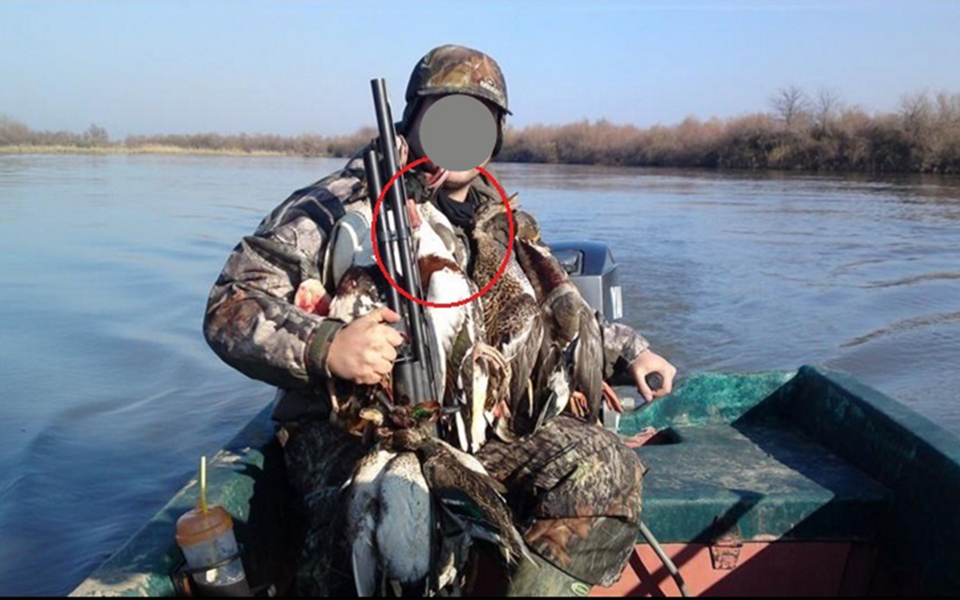 illegal_killing_cabins-4