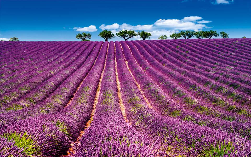 provence1