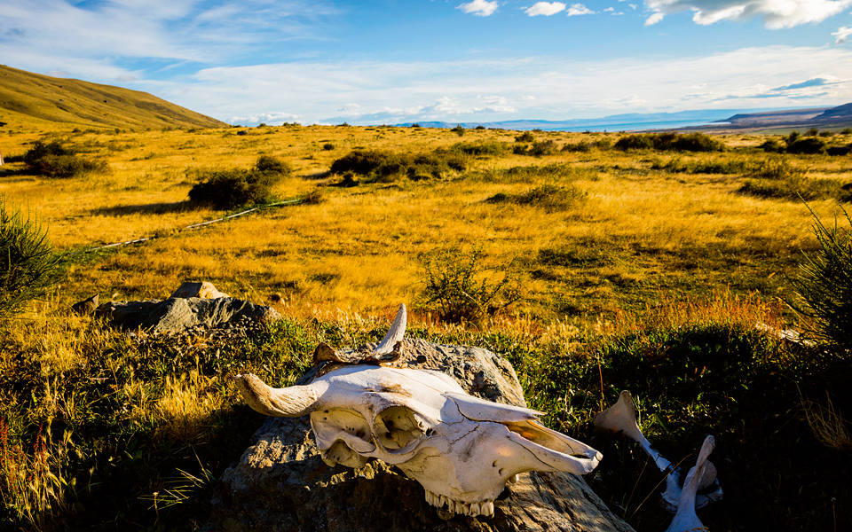 20160318_kontos_patagonia_-072