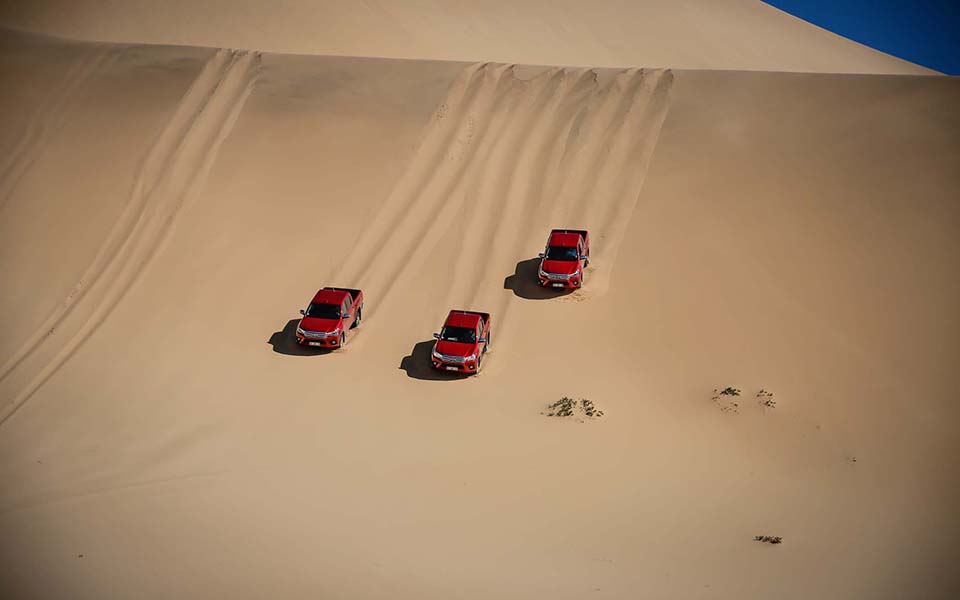 newego_large_t_77761_311402