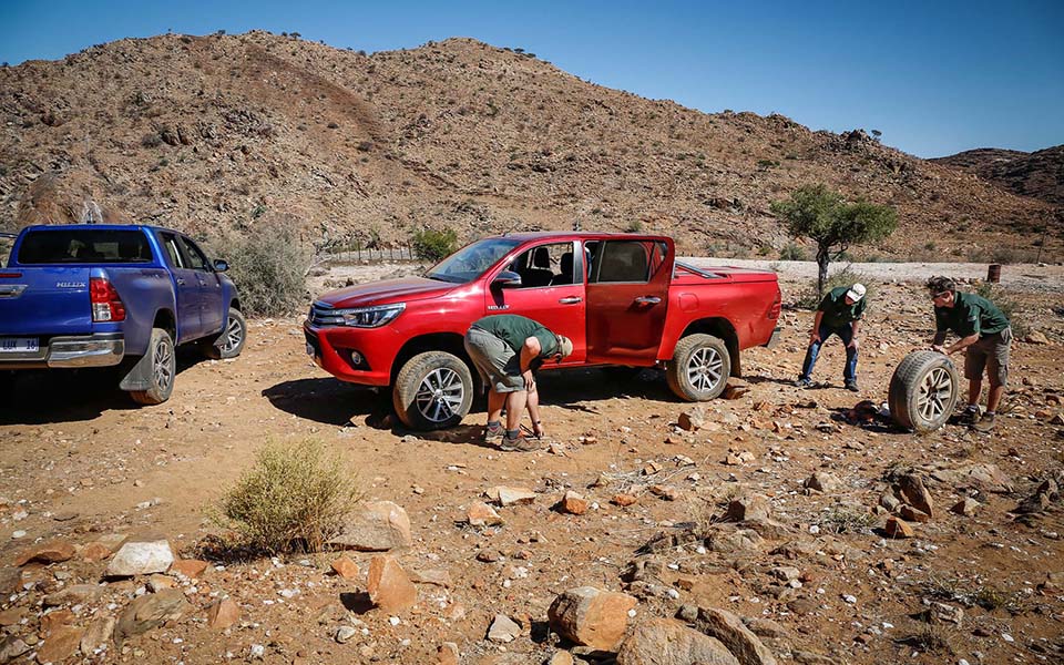 newego_large_t_77761_311403