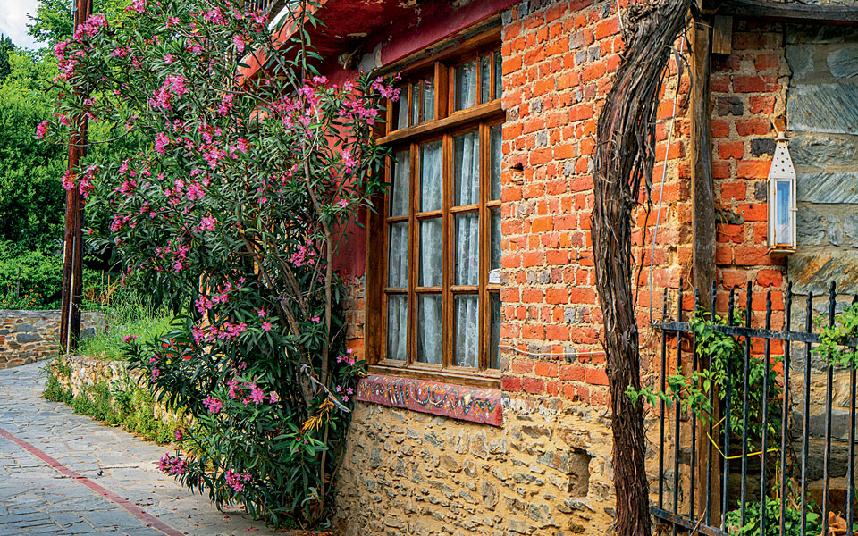 nikiti-o5-untitled-1