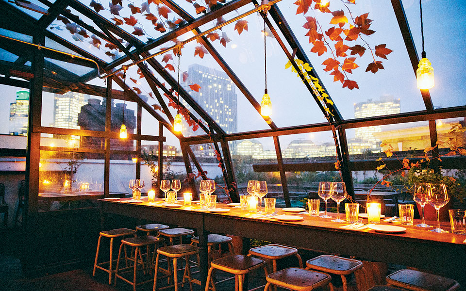 drm_cul_roof_nov-1drm_7906