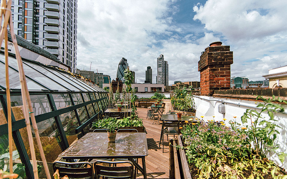 drm_culpeperrooftop02_hr-drm_6852