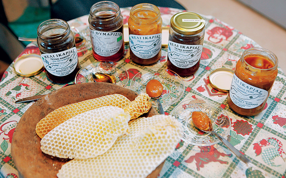 melissokomos_koxilas_kampiti_14