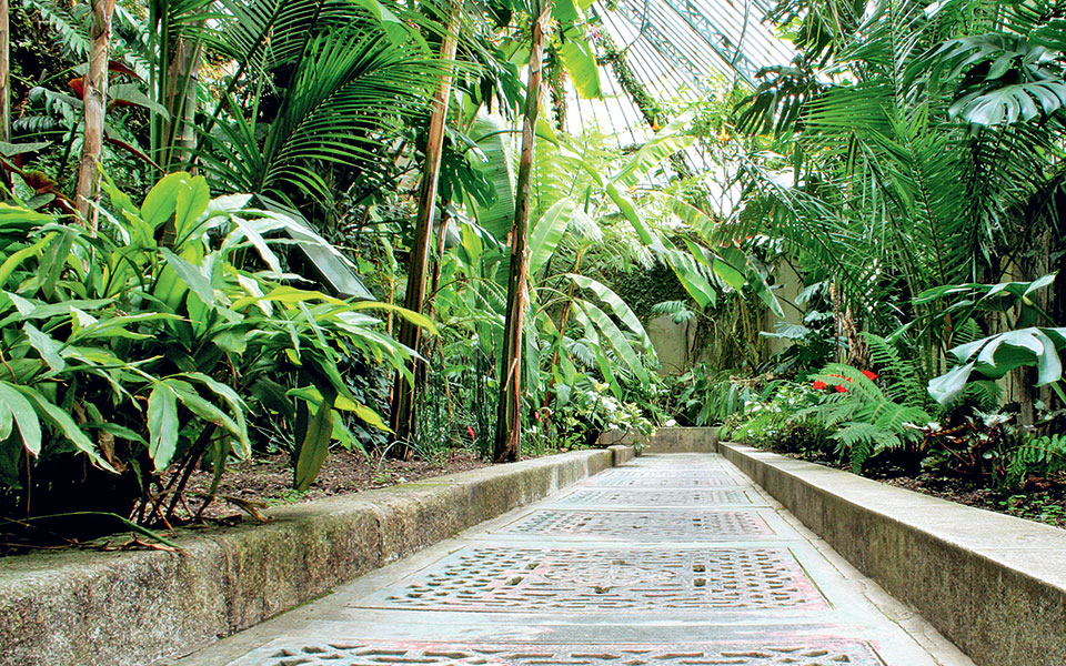 05-invernadero-graells-foto-rjb