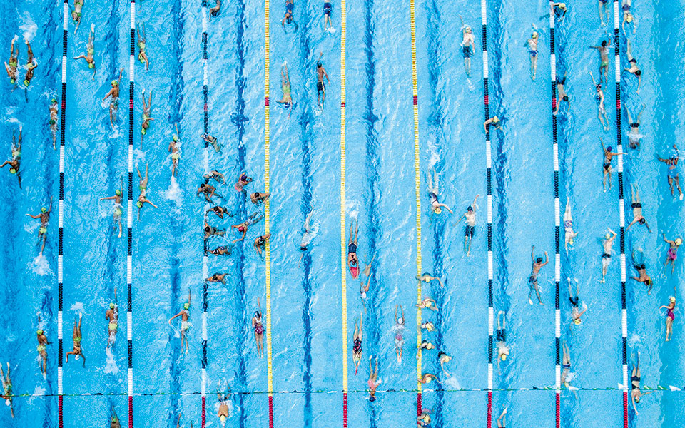 2nd-prize-winner-category-acuatico