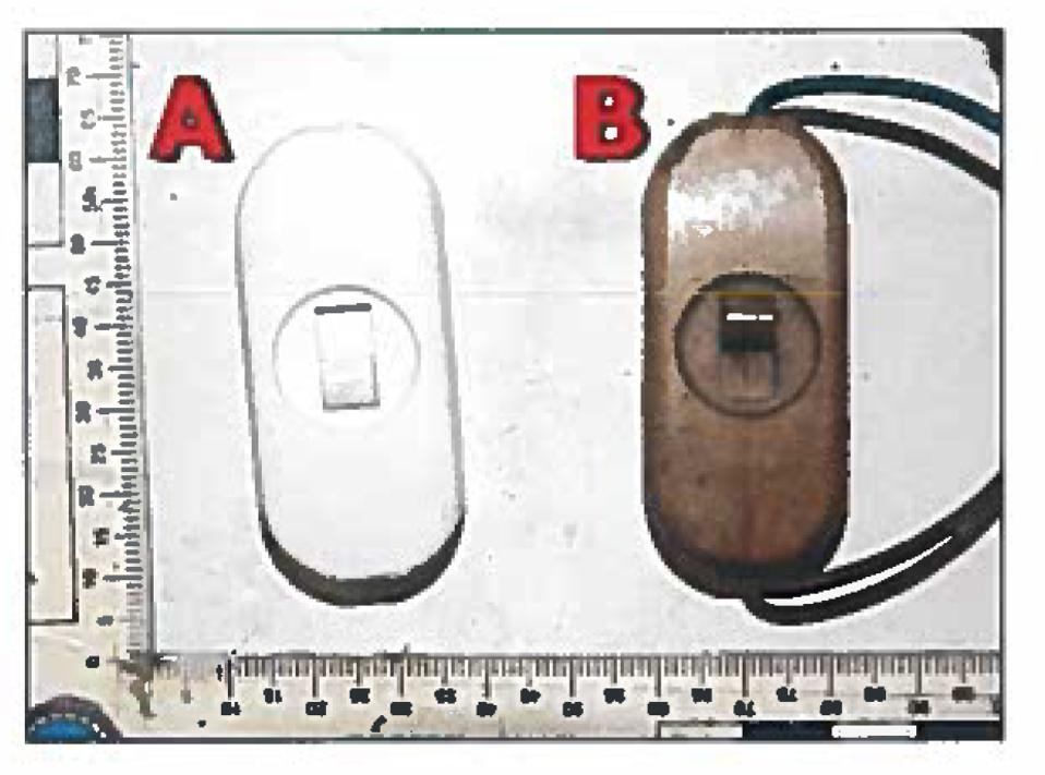 Διασύνδεση ελληνικής και ιταλικής τρομοκρατίας-1