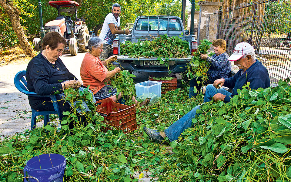 lasithi-014-lagou-185