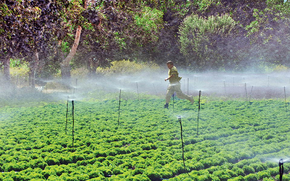 lasithi-016-tzermiado-kaliergies-244