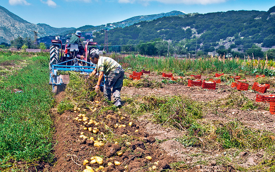 lasithi-016-tzermiado-kaliergies-275
