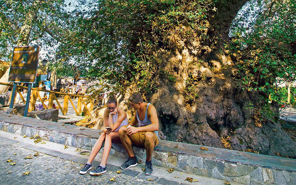 lasithi-021-krasi-platanos-kazatzaki-409