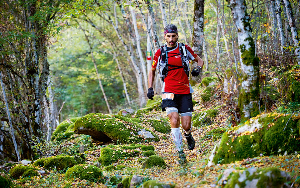 goexperience_rout-2013-24