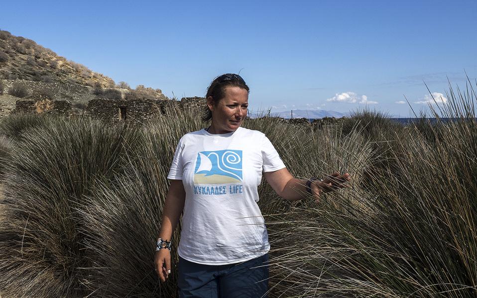 Φώκιες, μύχοι, τρίτωνες στην αναγεννημένη Γυάρο-1
