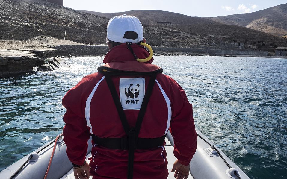 Φώκιες, μύχοι, τρίτωνες στην αναγεννημένη Γυάρο-4