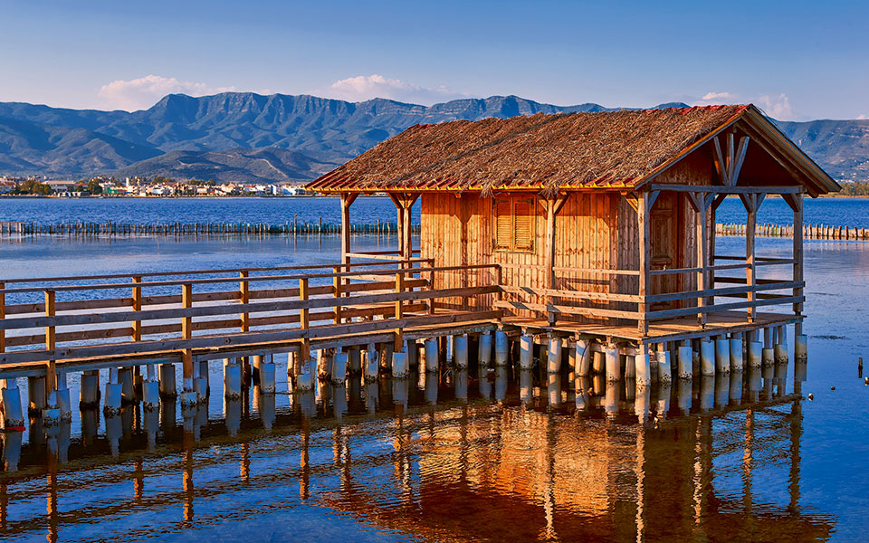 mesologgi_0069_2014-1