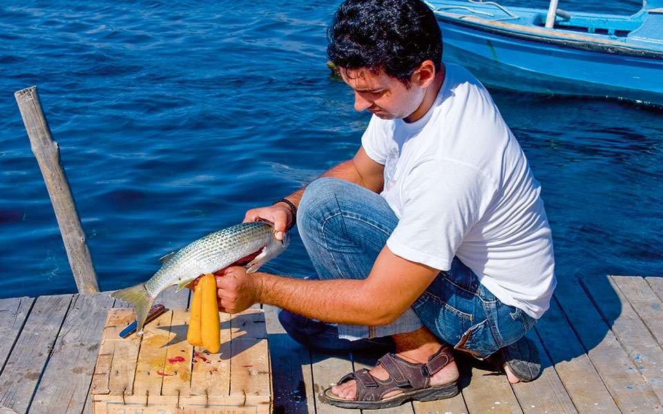 mesologi-roes-cleaning-14-2