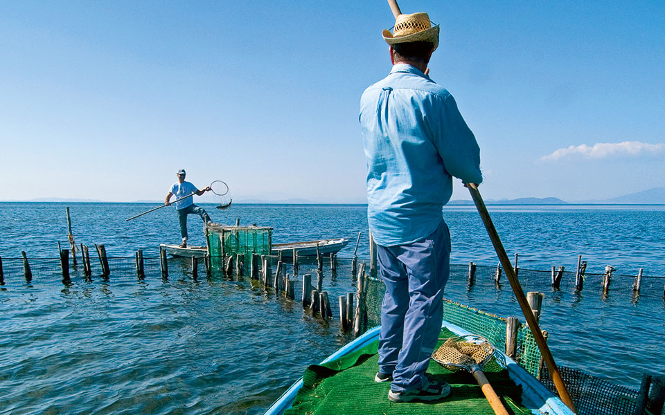 mesologi-roes-fishing-20-2