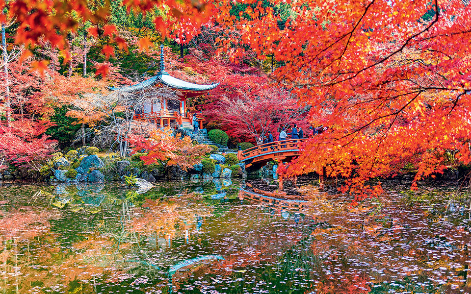 shutterstock_248021452