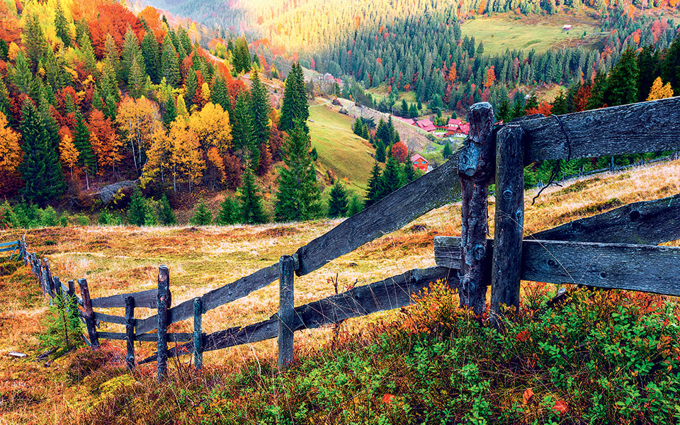 shutterstock_320165987