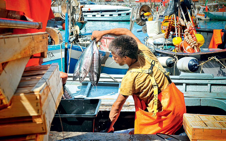 shutterstock_401443252