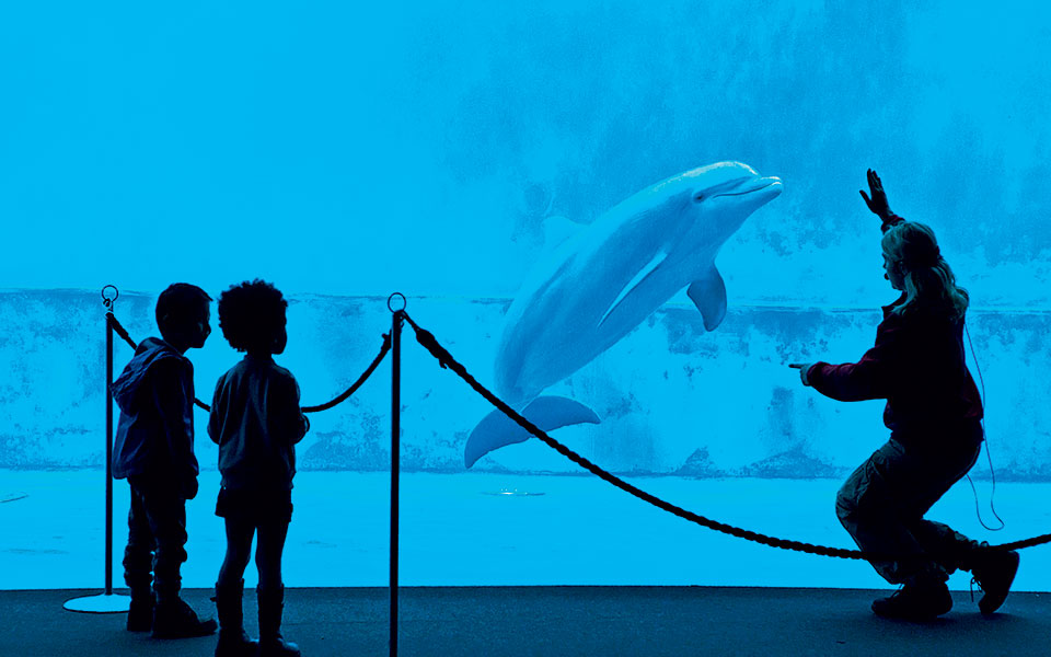 shutterstock_410609719